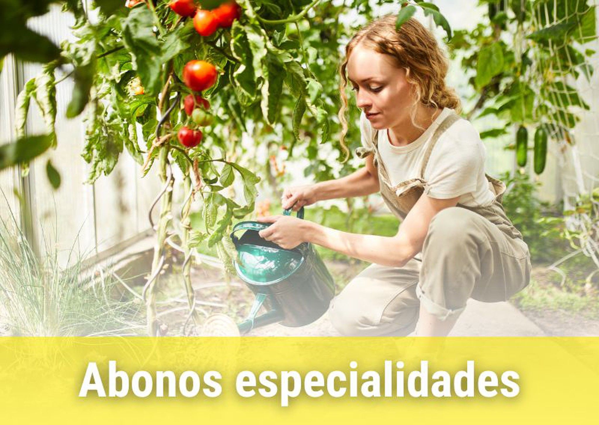 Abonos para plantas.