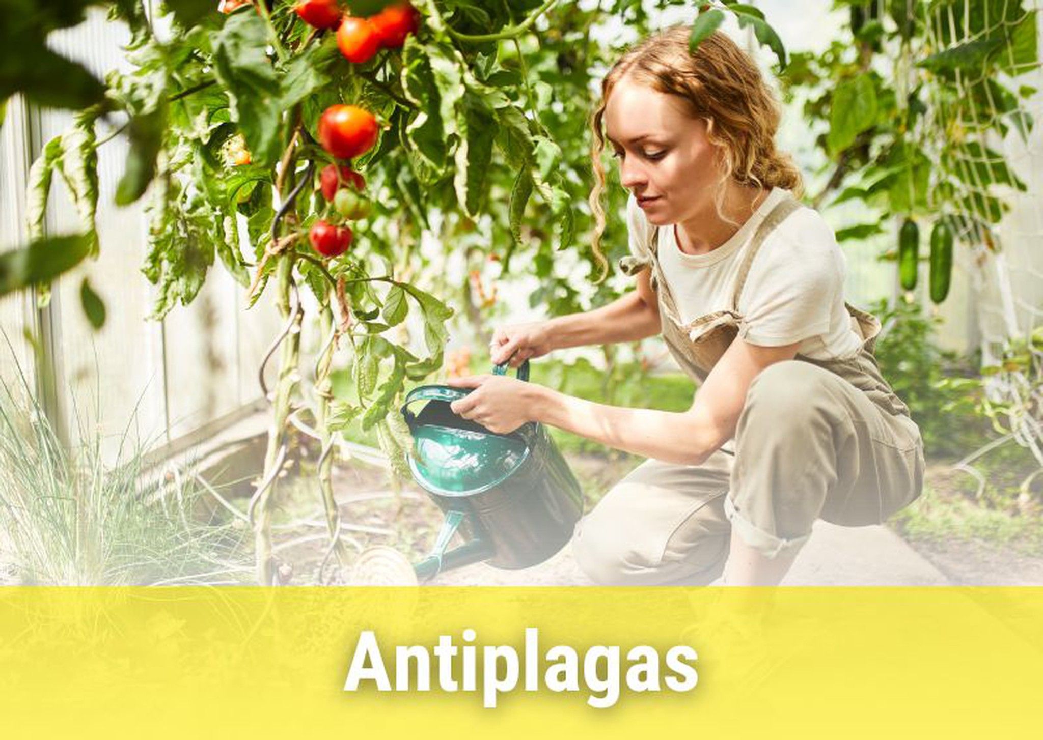 Antiplagas para plantas y hogar.