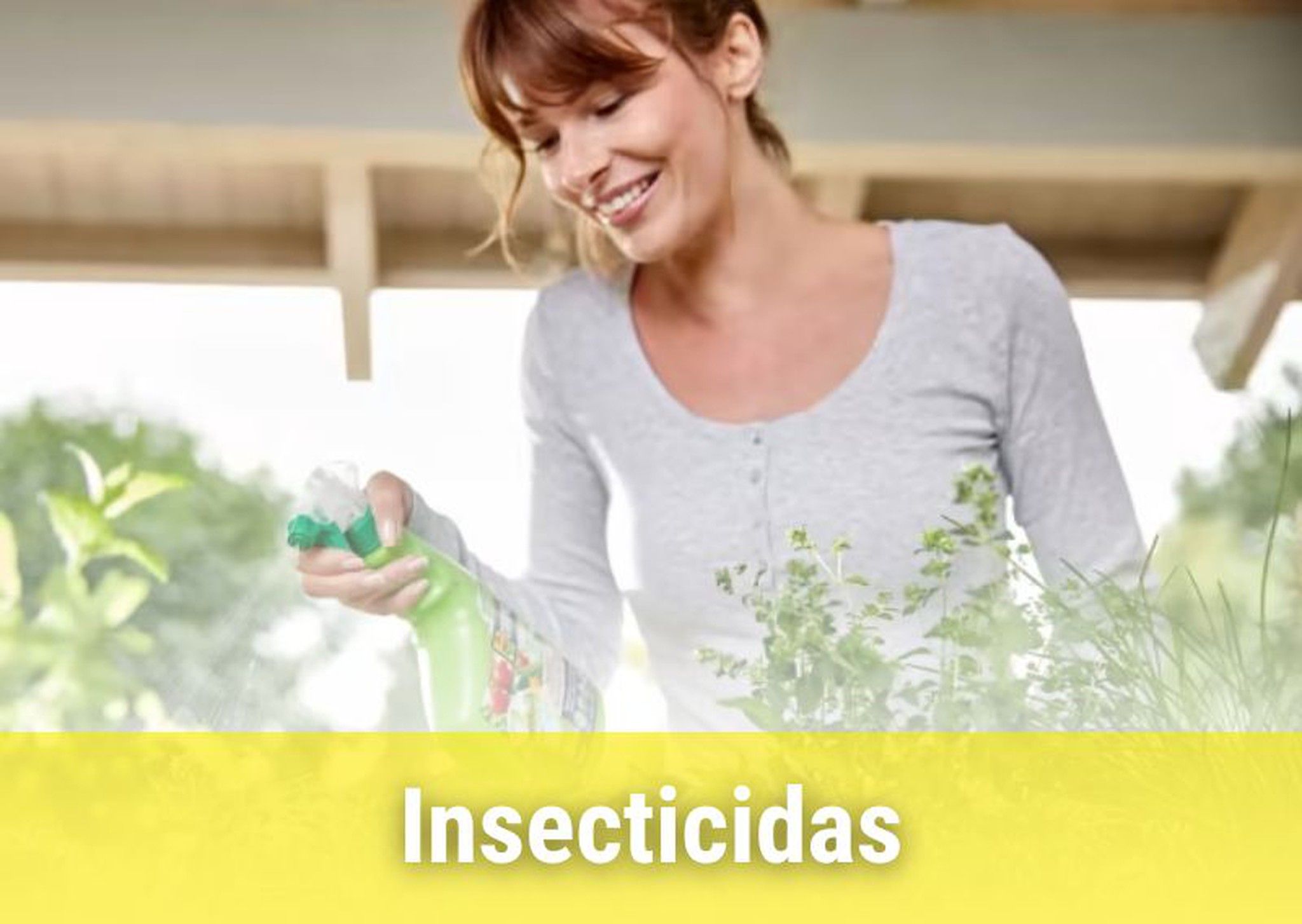 Insecticidas para plantas.