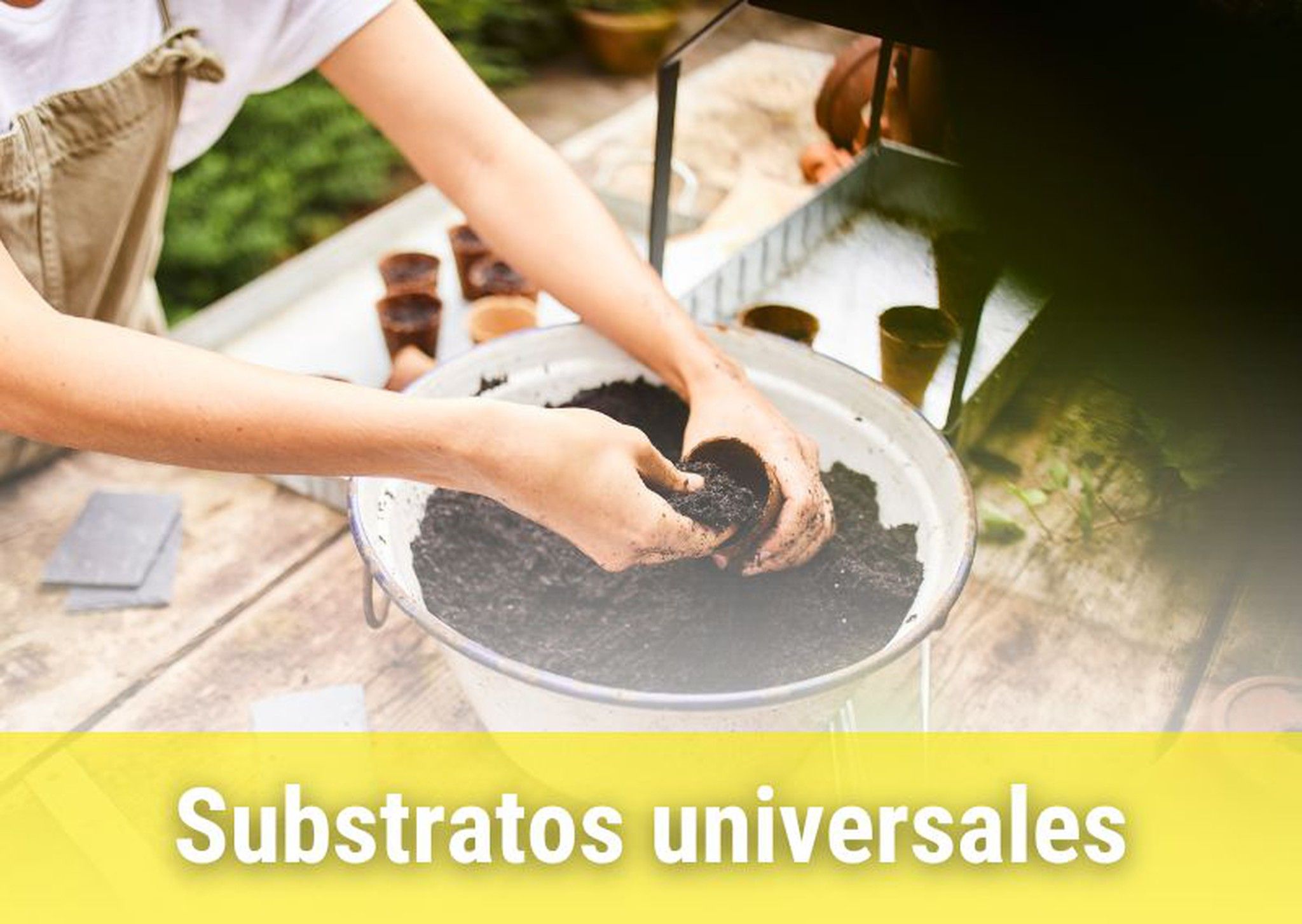 Substratos universales y especiales para plantas de interior y exterior.