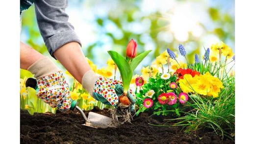 Jardinería