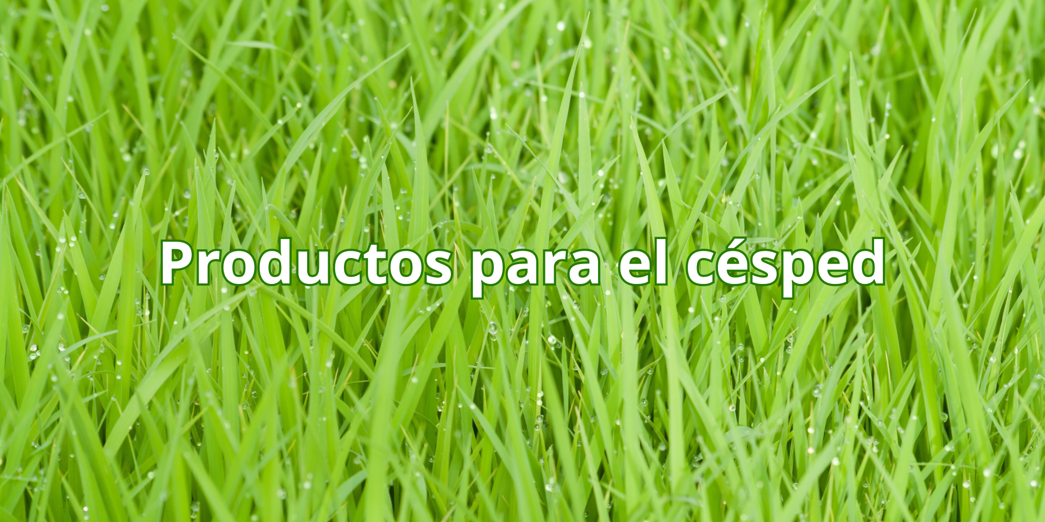 DESDE 5,45€