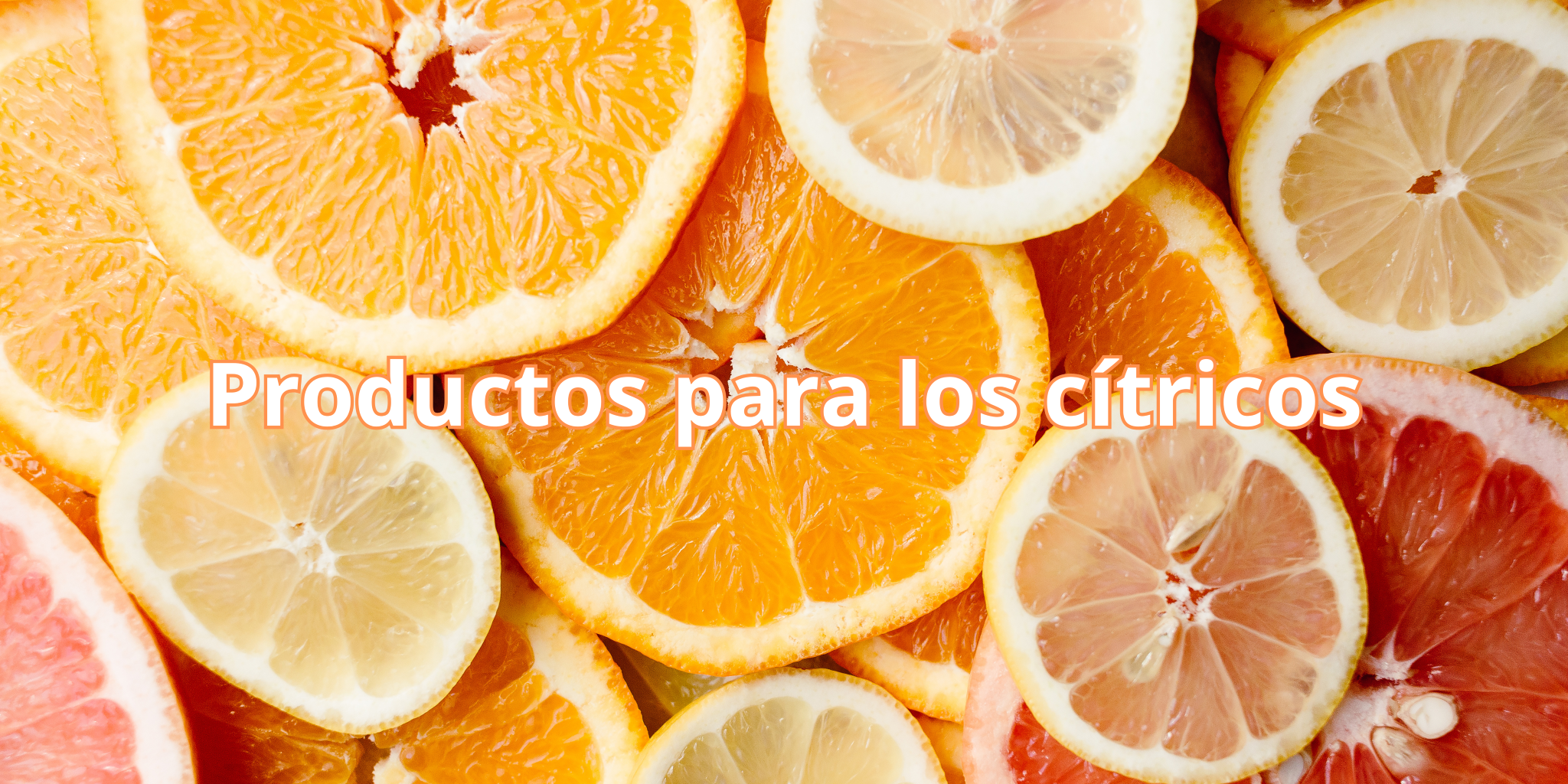 DESDE 4,99€